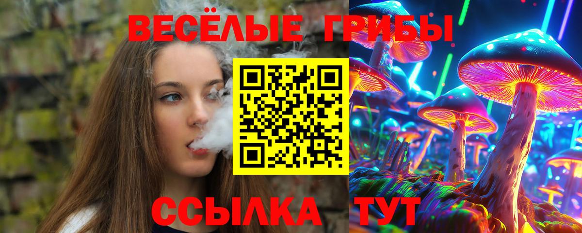 как найти   Псилоцибиновые грибы MAGIC MUSHROOMS  Вход с VPN  Йошкар-Ола 